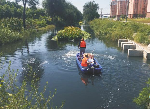 河水凈化系統 河水凈化系統