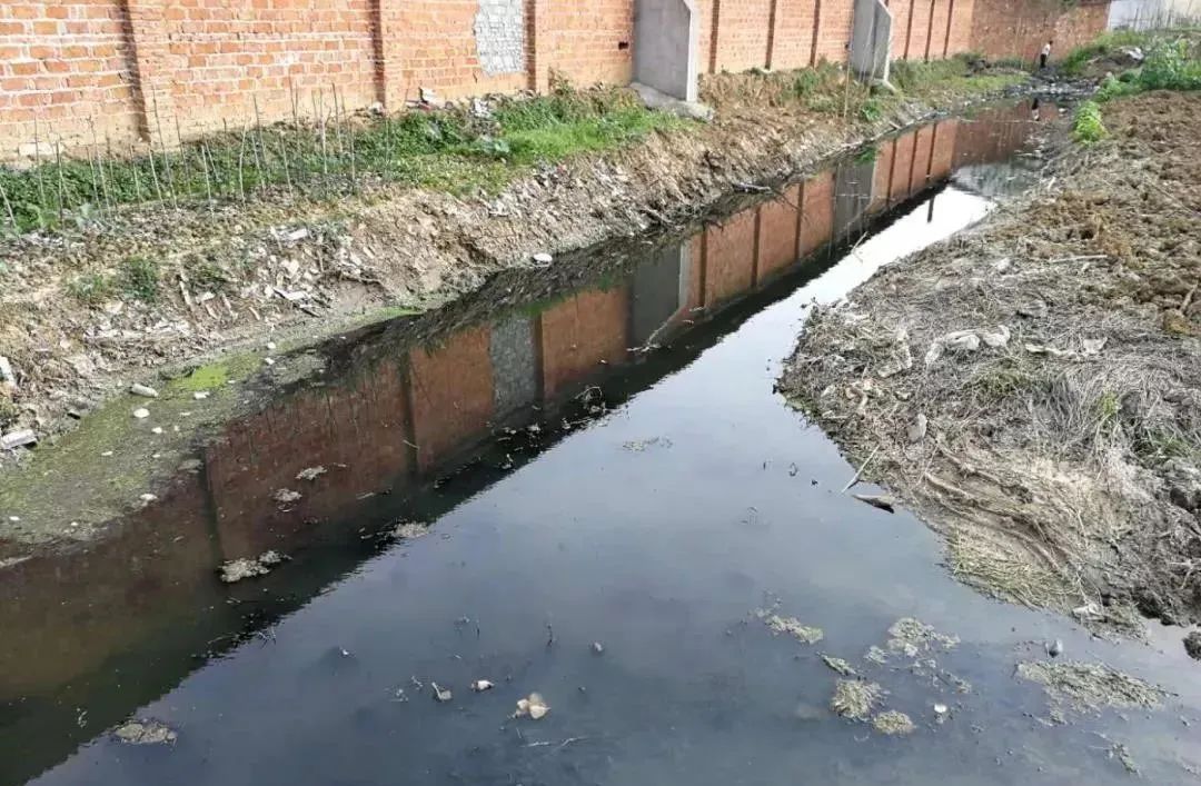 黑臭水體 黑臭水體