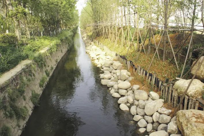 黑臭水體 黑臭水體